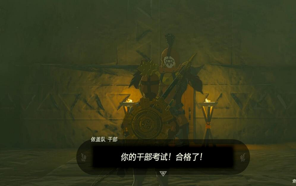 《塞爾達傳說王國之淚》伊蓋隊考核任務怎麽做？伊蓋隊的幹部考核攻略