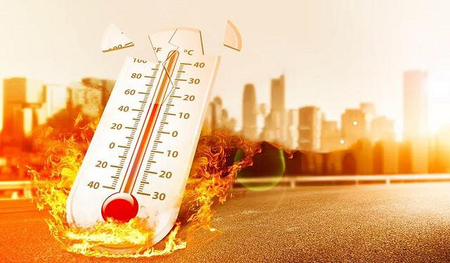 任天堂提醒 夏日高溫別把NS放車裡!網友:還好我沒有車 任天堂提醒 夏日高溫別把NS放車裡!網友:還好我沒有車