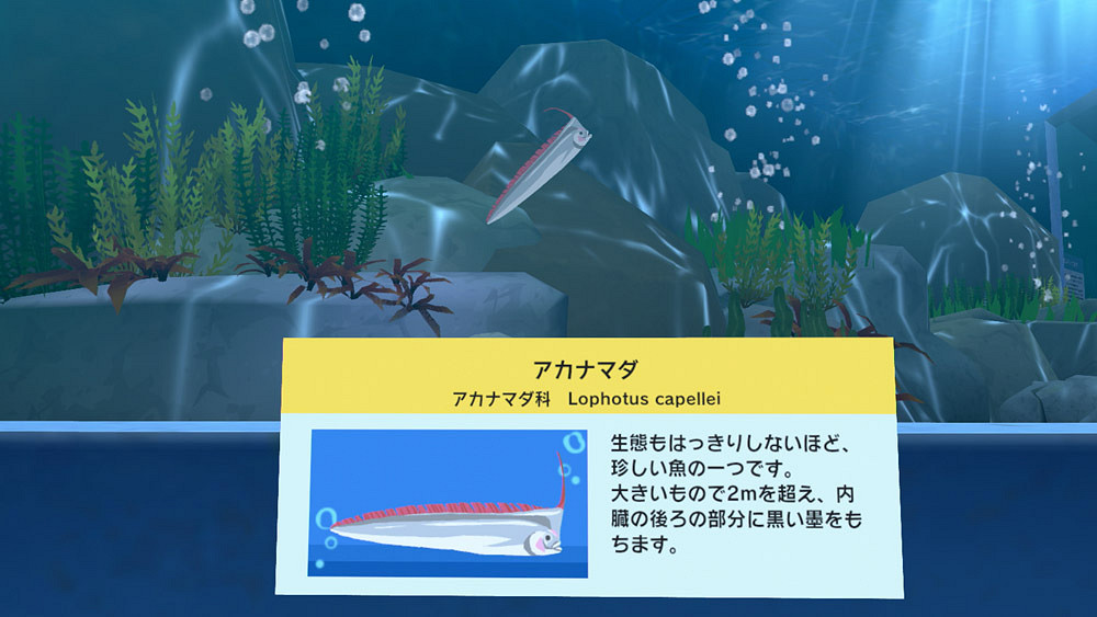 《夏天!20世紀的暑假》新情報!角色&暑假活動介紹 《夏天!20世紀的暑假》新情報!角色&暑假活動介紹