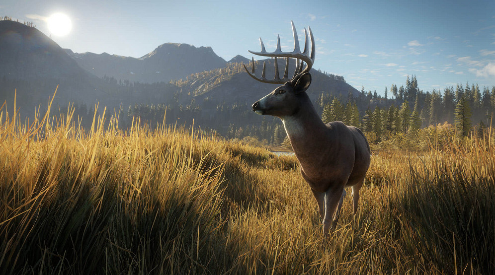 Epic喜加二：《獵人：野性的呼喚》等兩款遊戲免費領