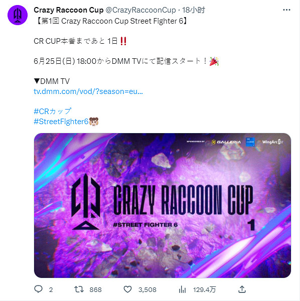 日本最大電競CR杯首屆《快打旋風6》比賽今日開賽! 日本最大電競CR杯首屆《快打旋風6》比賽今日開賽!