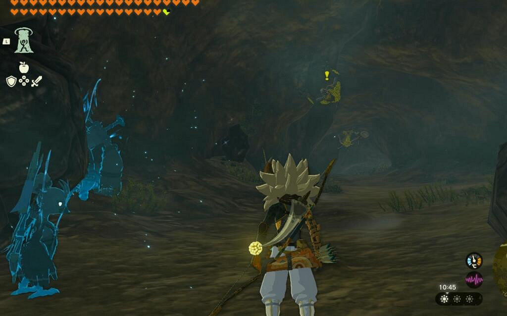 《塞爾達傳說王國之淚》只屬於我的怪物收藏品5怎麽做 怪物收藏品任務攻略