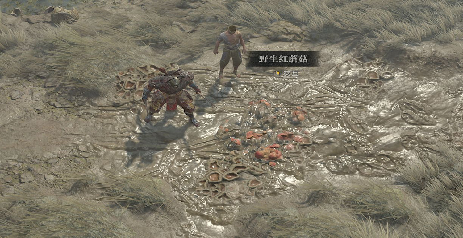 《暗黑破壞神4》強制服從任務攻略