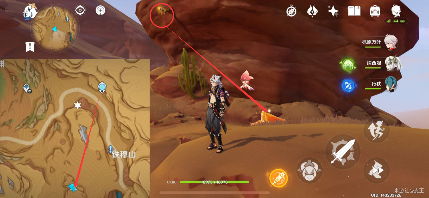 《原神》十五處苦離果在哪？十五處苦離果具體位置一覽