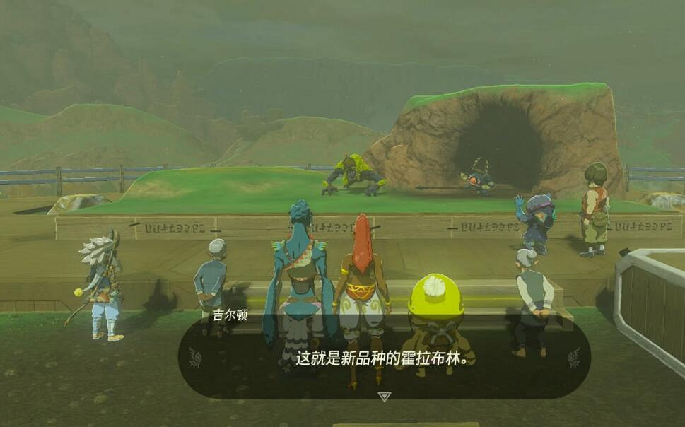 《塞爾達傳說王國之淚》只屬於我的怪物收藏品5怎麽做 怪物收藏品任務攻略