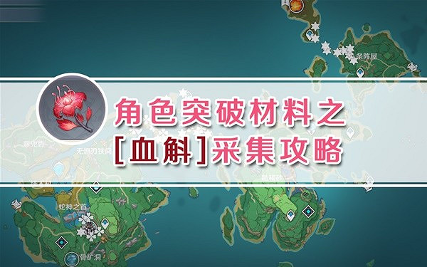 《原神》3.7血斛採集路線分享    血斛在哪採集？