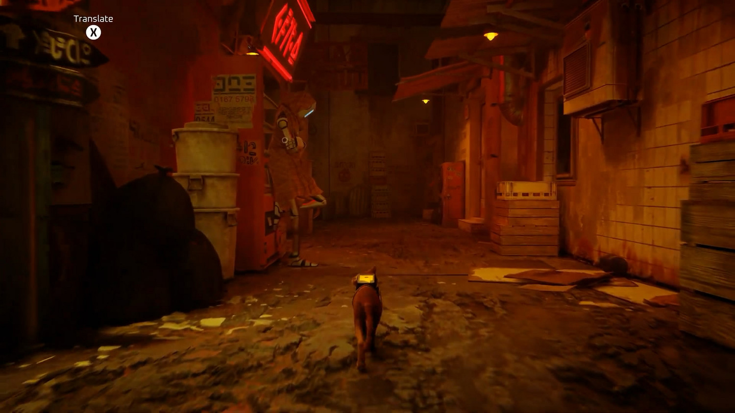 貓咪冒險遊戲《Stray》官宣將於8月10日登陸Xbox平台 貓咪冒險遊戲《Stray》官宣將於8月10日登陸Xbox平台