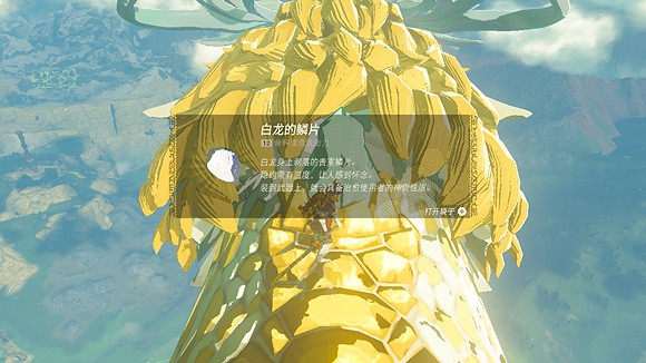 《塞爾達傳說王國之淚》白龍的鱗片怎麽獲得？ 白龍的鱗片獲取方法