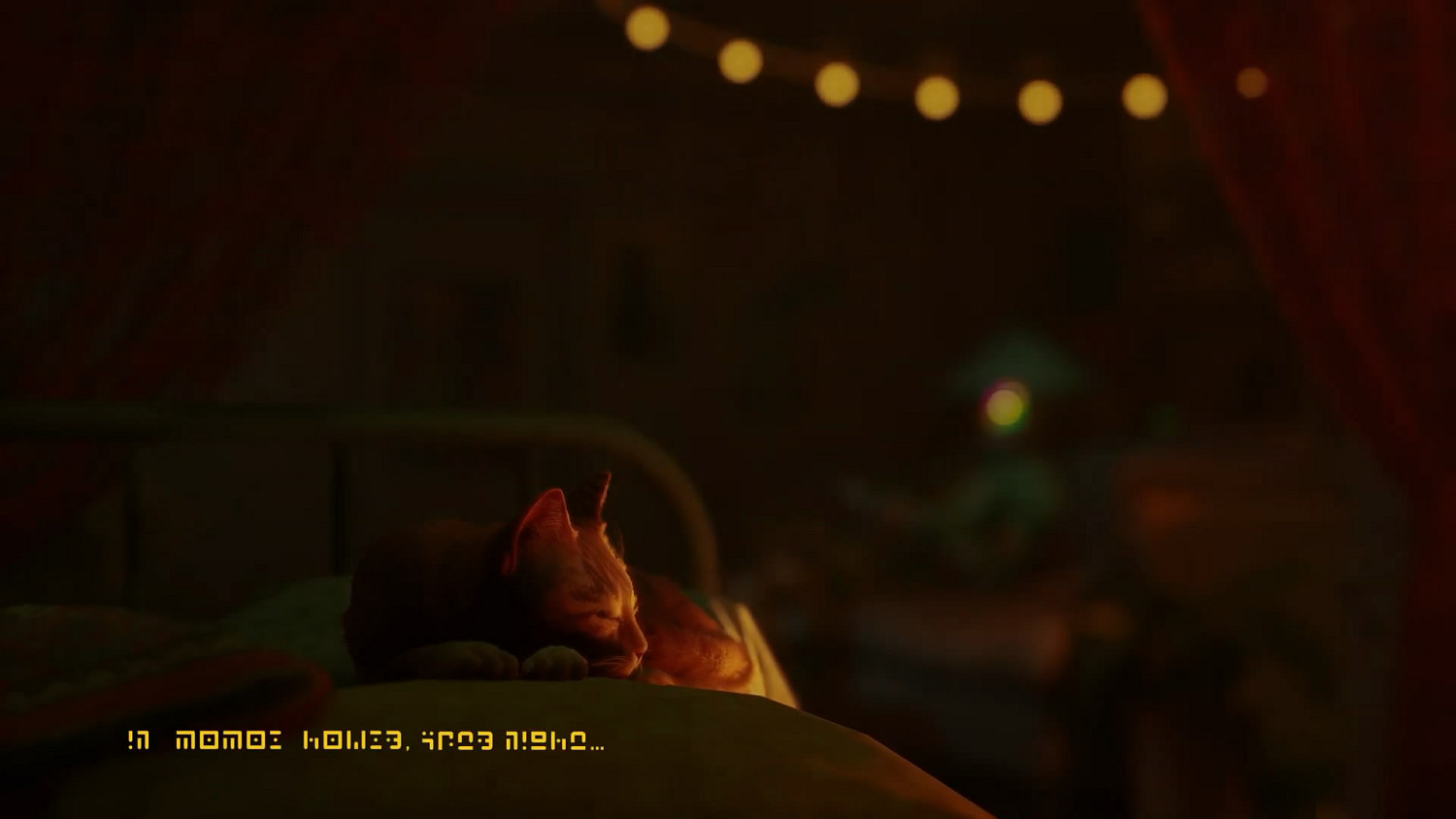 貓咪冒險遊戲《Stray》官宣將於8月10日登陸Xbox平台 貓咪冒險遊戲《Stray》官宣將於8月10日登陸Xbox平台