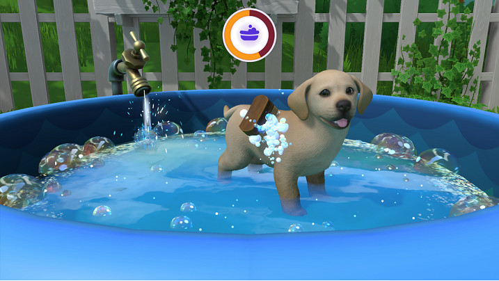 模擬寵物養成遊戲《小玩家：狗狗小島》NS亞洲版現已正式發售！