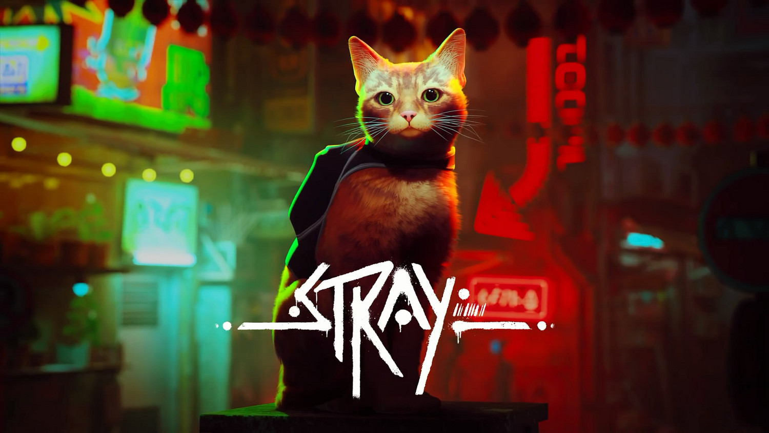 貓咪冒險遊戲《Stray》官宣將於8月10日登陸Xbox平台 貓咪冒險遊戲《Stray》官宣將於8月10日登陸Xbox平台
