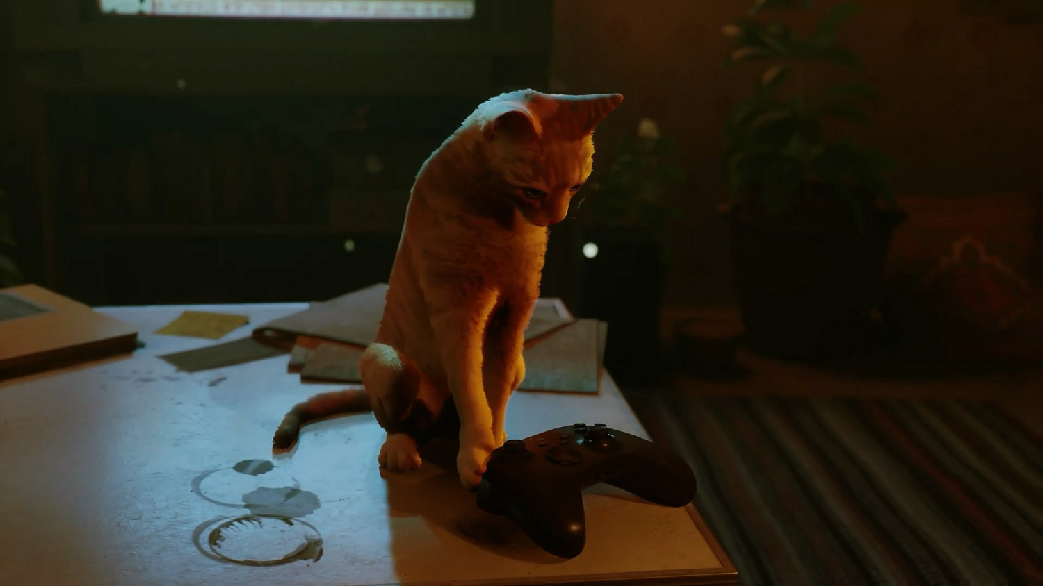 貓咪冒險遊戲《Stray》官宣將於8月10日登陸Xbox平台 貓咪冒險遊戲《Stray》官宣將於8月10日登陸Xbox平台