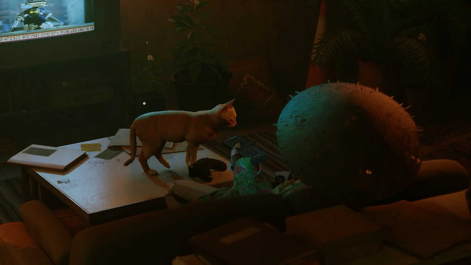 貓咪冒險遊戲《Stray》官宣將於8月10日登陸Xbox平台 貓咪冒險遊戲《Stray》官宣將於8月10日登陸Xbox平台