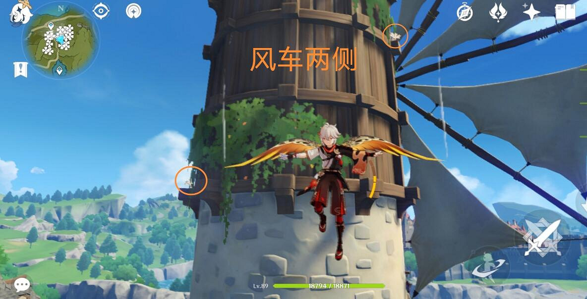 《原神》3.8可莉突破材料慕風蘑菇採集路線推薦？