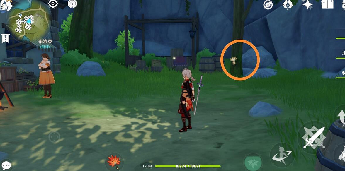 《原神》3.8可莉突破材料慕風蘑菇採集路線推薦？