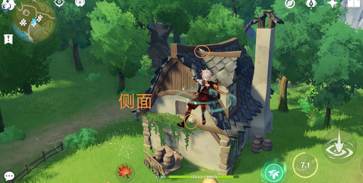 《原神》3.8可莉突破材料慕風蘑菇採集路線推薦？