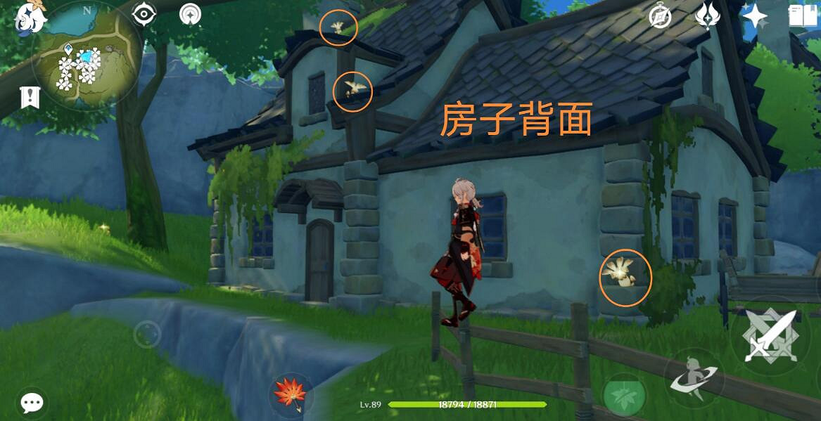 《原神》3.8可莉突破材料慕風蘑菇採集路線推薦？