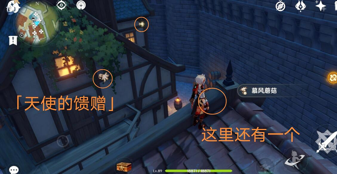 《原神》3.8可莉突破材料慕風蘑菇採集路線推薦？