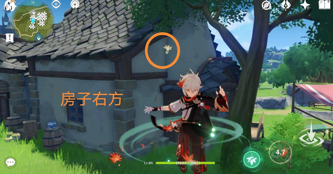 《原神》3.8可莉突破材料慕風蘑菇採集路線推薦？