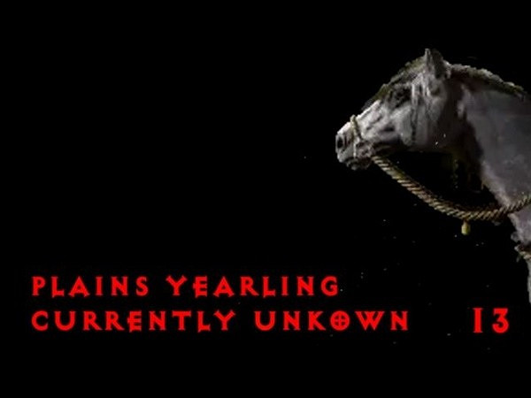 《暗黑破壞神4》馬匹全收集攻略 有哪些馬匹? 《暗黑破壞神4》馬匹全收集攻略 有哪些馬匹?