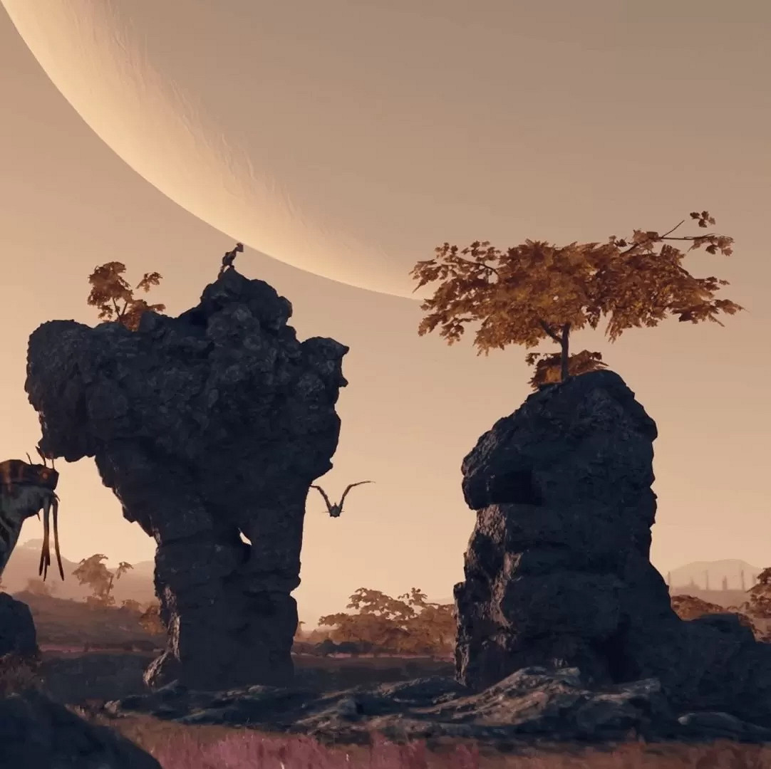 《星空》豐富多樣岩石深受粉絲喜愛 連地質學家都說讚