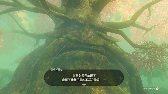 《塞爾達傳說王國之淚》德庫樹長老在哪? 德庫樹長老位置 《塞爾達傳說王國之淚》德庫樹長老在哪? 德庫樹長老位置