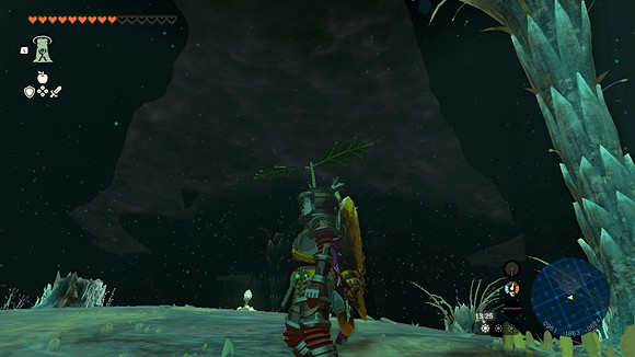 《塞爾達傳說王國之淚》德庫樹長老在哪? 德庫樹長老位置 《塞爾達傳說王國之淚》德庫樹長老在哪? 德庫樹長老位置