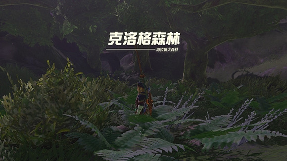 《塞爾達傳說王國之淚》德庫樹長老在哪? 德庫樹長老位置 《塞爾達傳說王國之淚》德庫樹長老在哪? 德庫樹長老位置