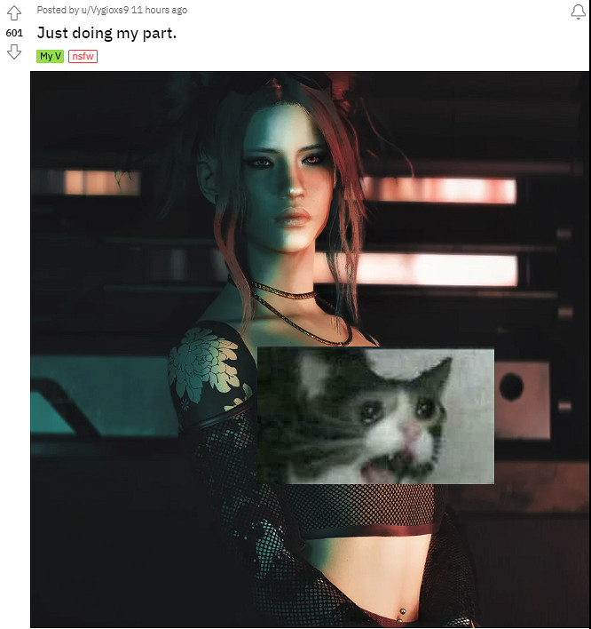 為了抵制&quot;美國貼吧&quot;，吧友們開始用澀圖刷屏2077版塊