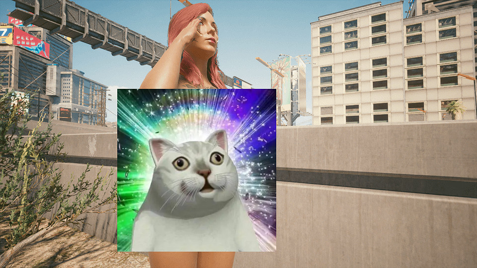 為了抵制&quot;美國貼吧&quot;，吧友們開始用澀圖刷屏2077版塊