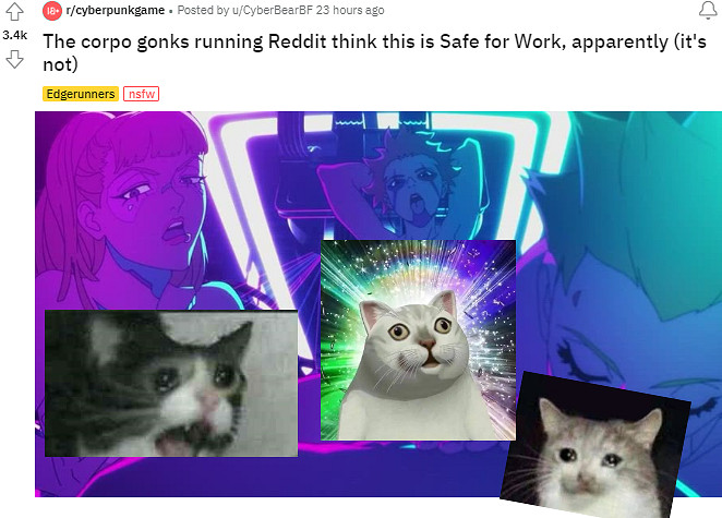 為了抵制&quot;美國貼吧&quot;，吧友們開始用澀圖刷屏2077版塊