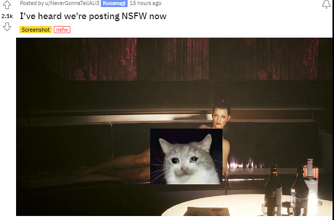 為了抵制&quot;美國貼吧&quot;，吧友們開始用澀圖刷屏2077版塊