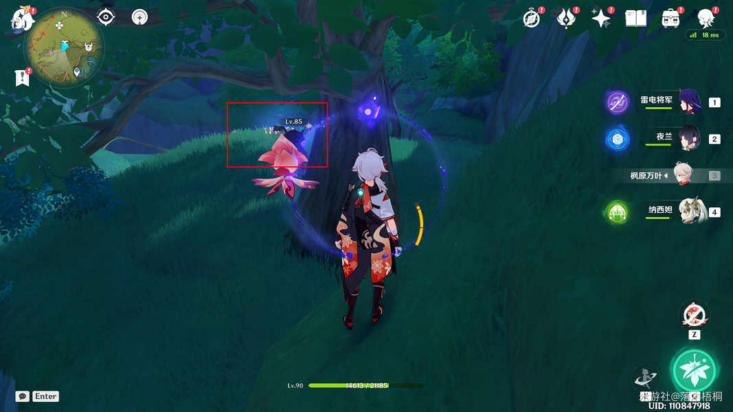 《原神》3.8蔓生溪谷寶箱及禮券位置 海島蔓生溪谷寶箱在哪？