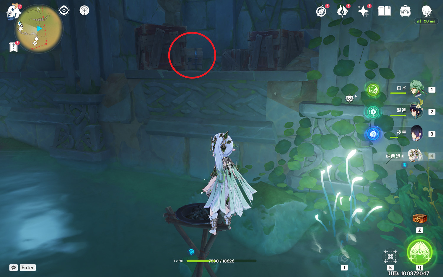 《原神》琉形蜃境南側禮券怎麽收集？琉形蜃境南側歡興禮券收集攻略