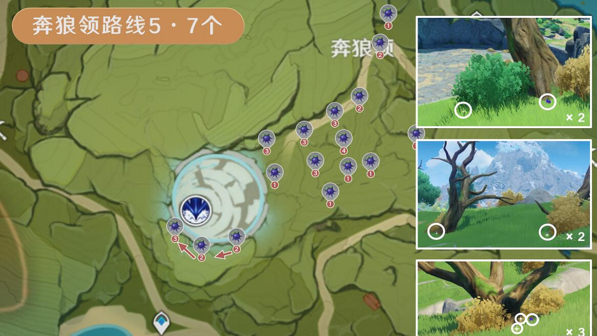 《原神》3.8版本鉤鉤果效率採集路線分享 3.8鉤鉤果怎麽採集？