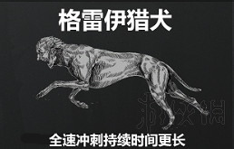 《獵殺：對決》技能都有哪些效果？全技能效果一覽