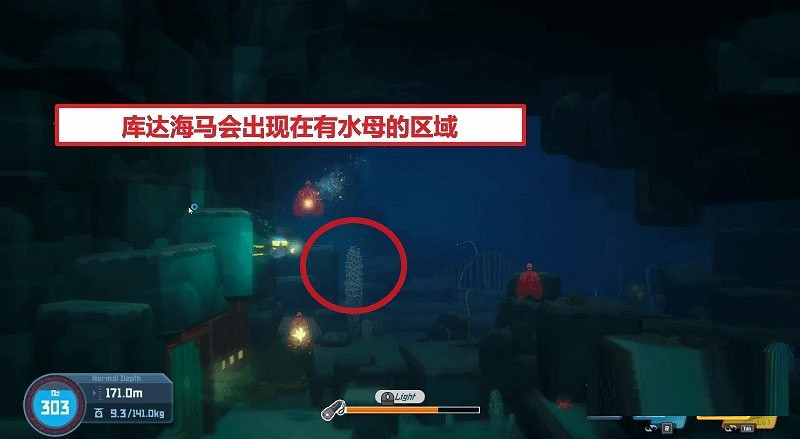 《潛水員戴夫》海馬位置匯總 全海馬捕捉攻略