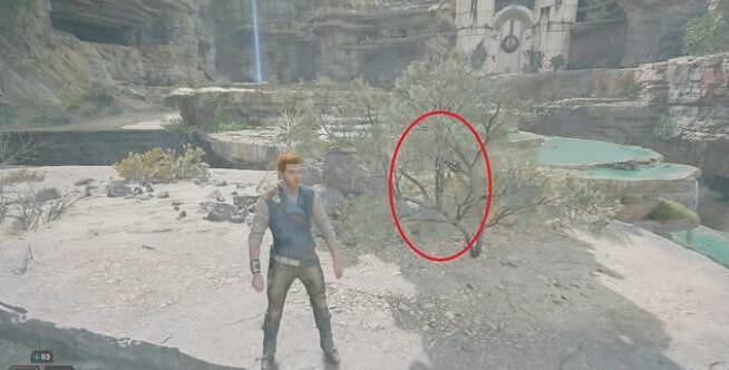 《星際大戰絕地倖存者》騙子河灘收集攻略 騙子河灘收集品有哪些？