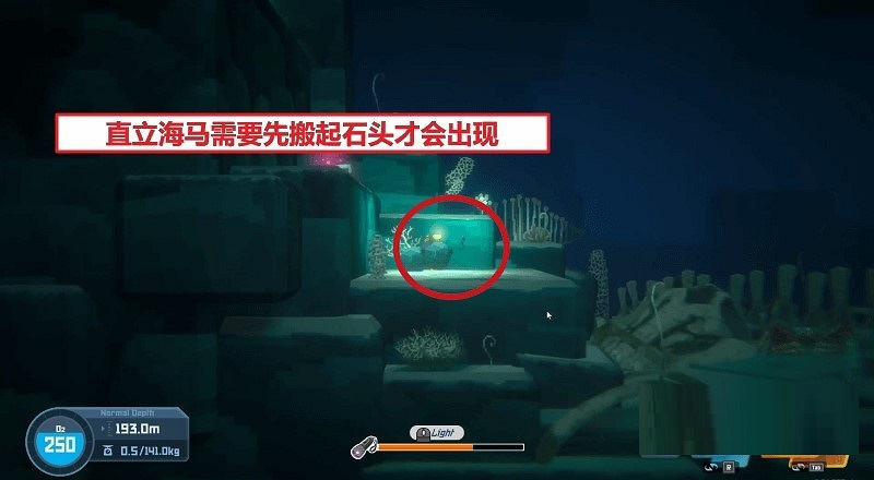 《潛水員戴夫》海馬位置匯總 全海馬捕捉攻略