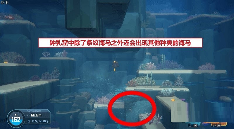 《潛水員戴夫》海馬位置匯總 全海馬捕捉攻略