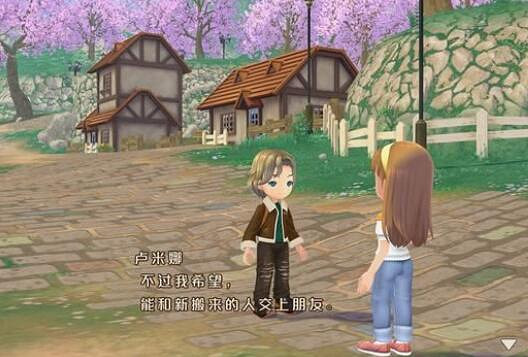 《牧場物語Welcome美麗人生》盧米娜喜好及事件選擇