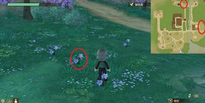 《牧場物語Welcome美麗人生》盧米娜喜好及事件選擇