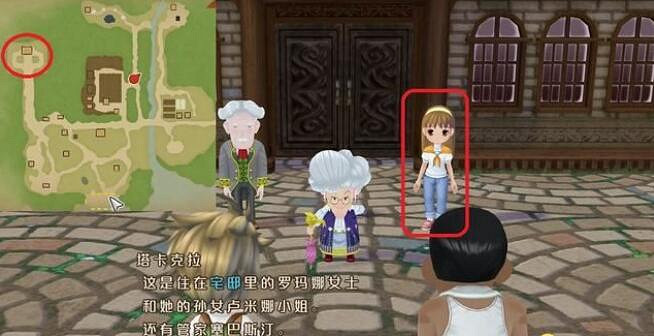 《牧場物語Welcome美麗人生》盧米娜喜好及事件選擇