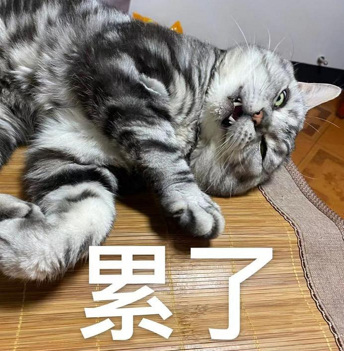 告訴你那退坑的老哥,他等了十年的暗黑新職業真來了 告訴你那退坑的老哥,他等了十年的暗黑新職業真來了