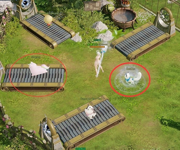 《命運方舟》領地家園系統介紹 領地家園怎麽建造? 《命運方舟》領地家園系統介紹 領地家園怎麽建造?