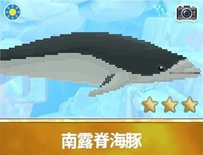 《潛水員戴夫》南露脊海豚怎麽拍照?南露脊海豚拍照技巧 《潛水員戴夫》南露脊海豚怎麽拍照?南露脊海豚拍照技巧