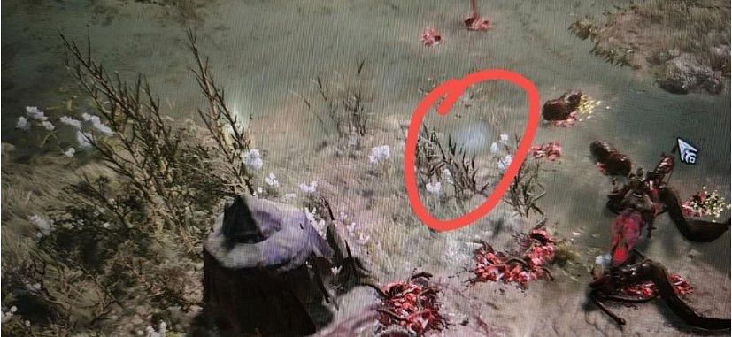 《暗黑破壞神4》血仇任務指南