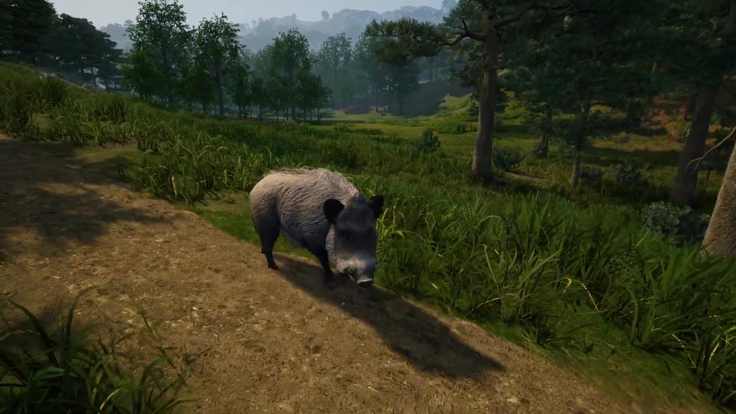 日本戰國遊戲《戰國王朝》預告片聚焦於狩獵系統