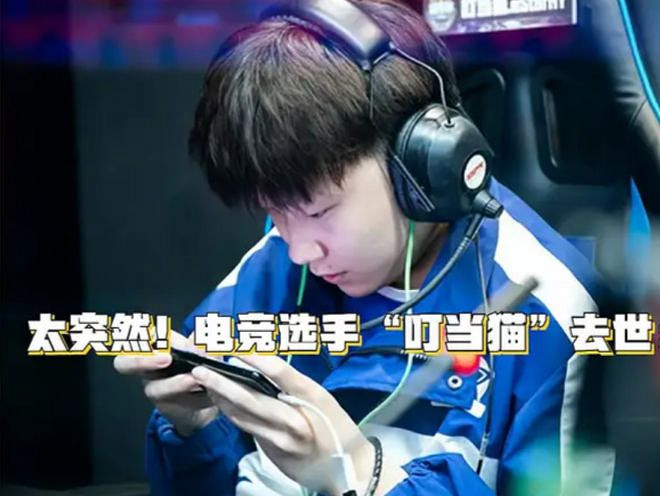 噩耗！電競選手叮噹貓去世 疑因下海撿手機意外溺亡