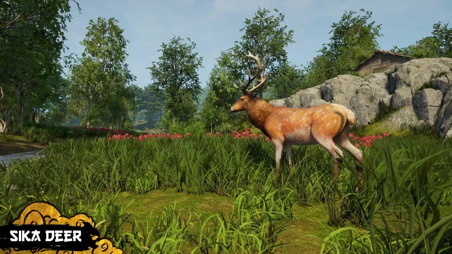 日本戰國遊戲《戰國王朝》發布新預告 聚焦狩獵系統